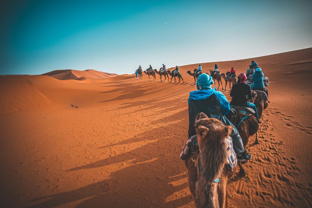 A group of people riding camels through the Sahara desert in Merzouga, Morocco at sunset.